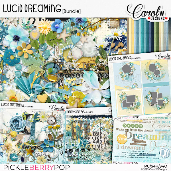 Lucid Dreaming-Bundle