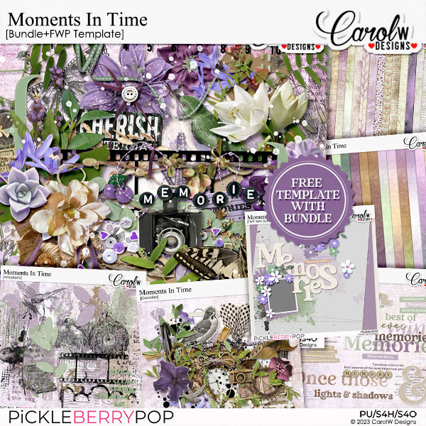 Moments In Time-Bundle+FWP Template