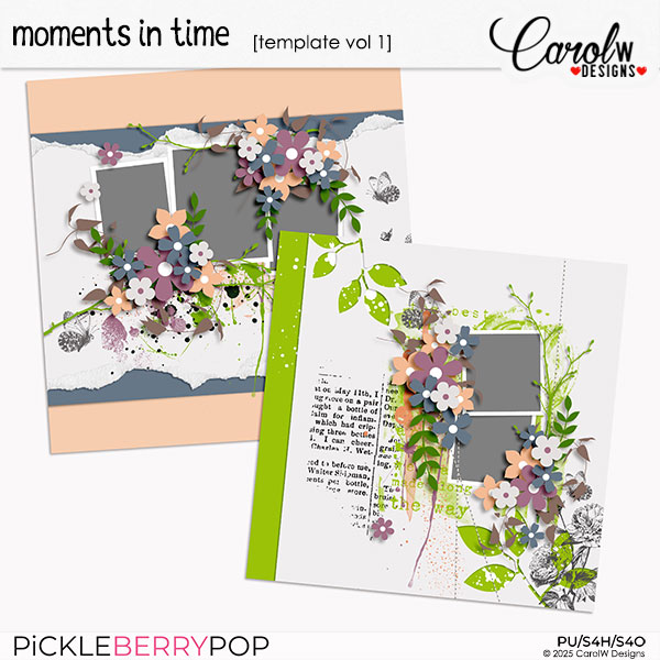 Moments In Time-Template vol 1