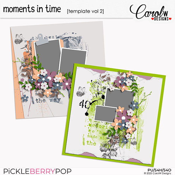 Moments In Time-Template vol 2