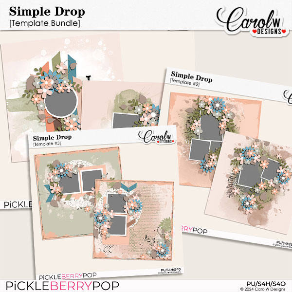 Simple Drop-Template Bundle