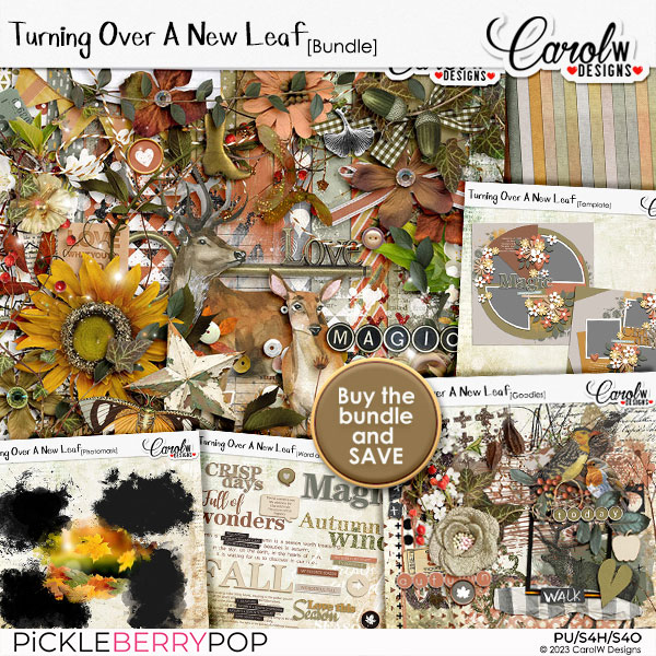 Turning Over A New Leaf-Bundle