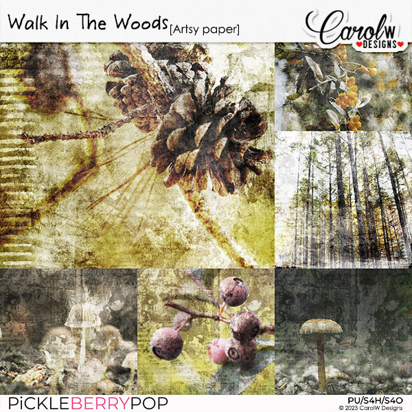 Walk In The Woods-Artsy paper