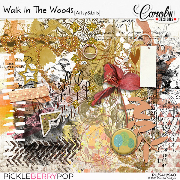 Walk In The Woods-Artsy&bits