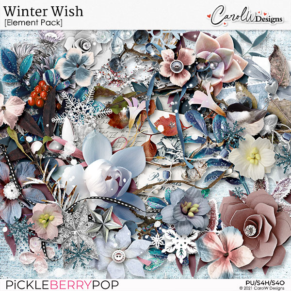 Winter Wish-Element Pack