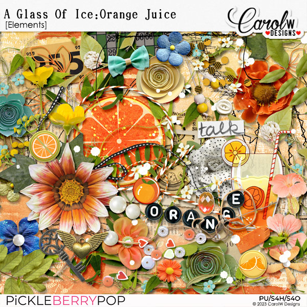 A Glass Of Ice:Orange Juice-Elements