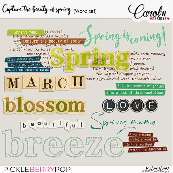 Capture the beauty of spring-Word art