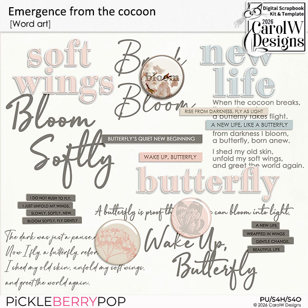 Emergence from the cocoon-Word art