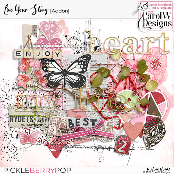 Live Your Story Addon