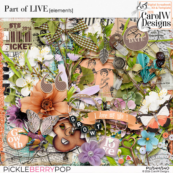 Part of LIVE-Elements