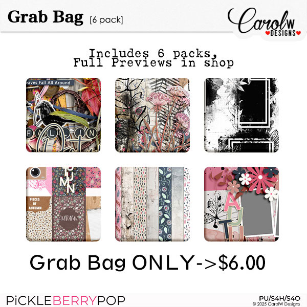 2025 DSD Grab Bag-CarolW Designs