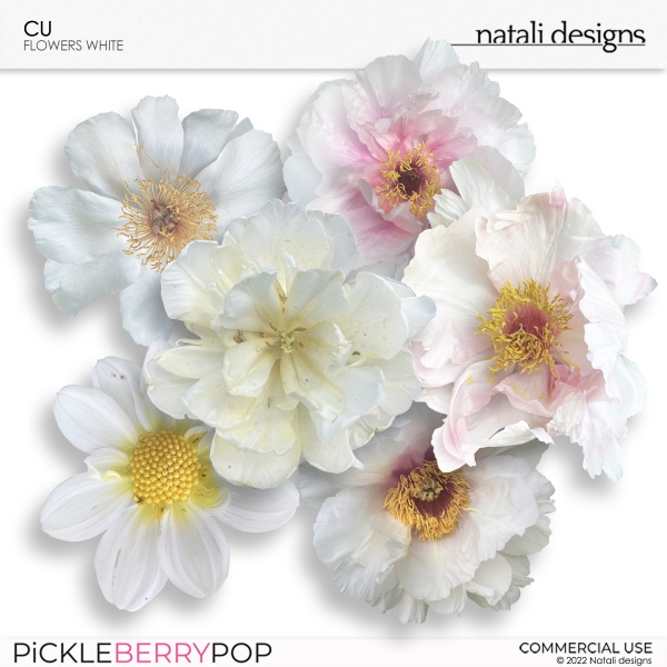 CU Flowers White