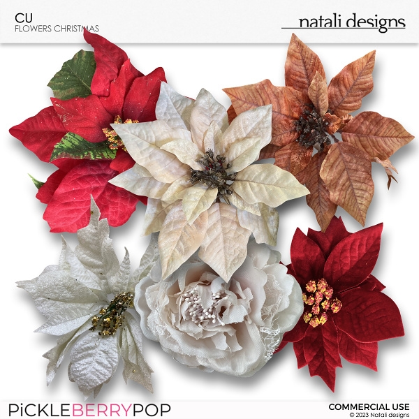 CU Flowers Christmas