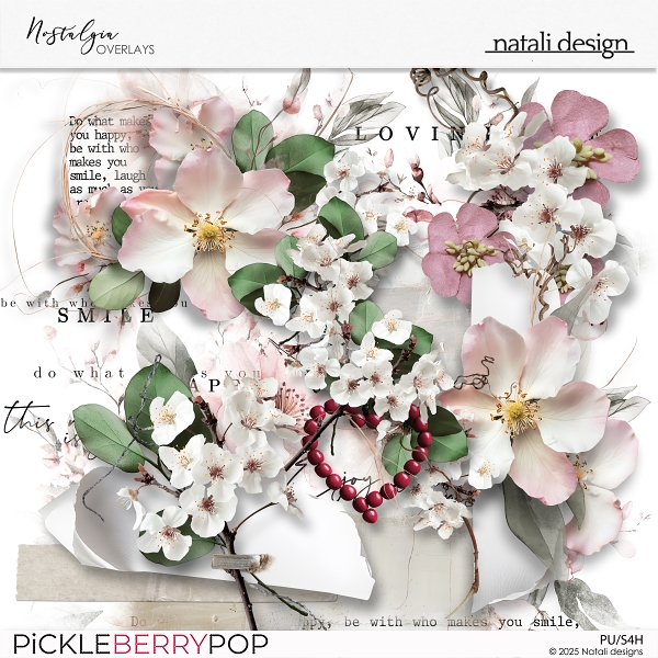 Nostalgia Overlays