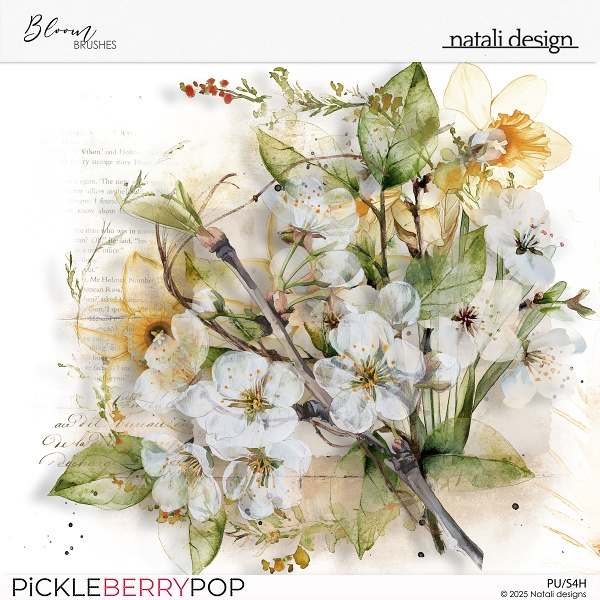 Bloom Brushes