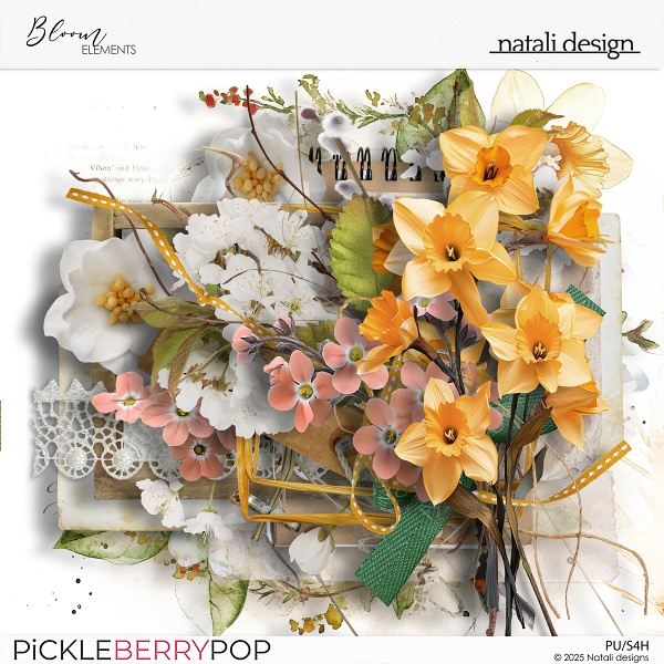 Bloom Elements