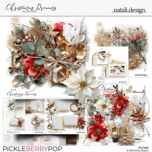 Christmas Dreams All in One