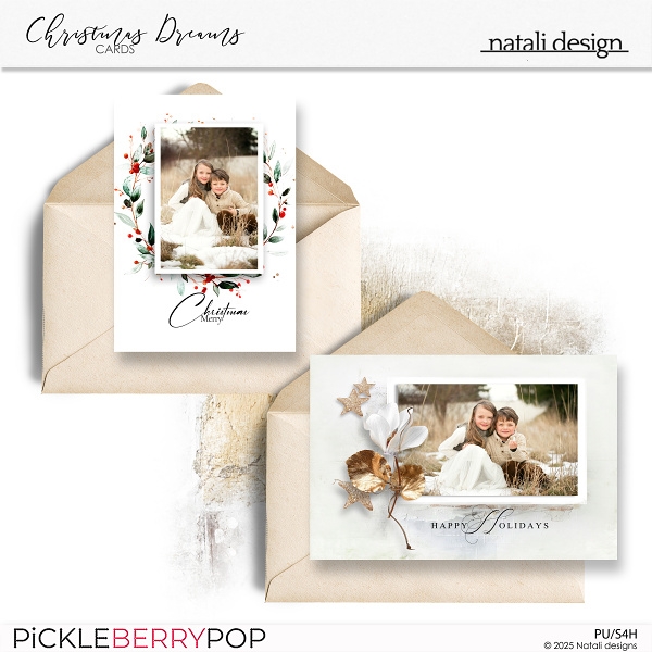 Christmas Dreams Card