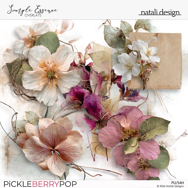 Simple Essence Overlays