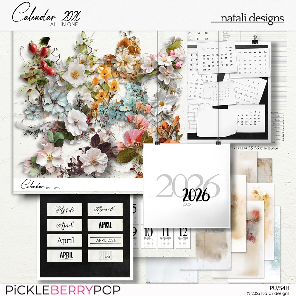 2026 Calendar All in One