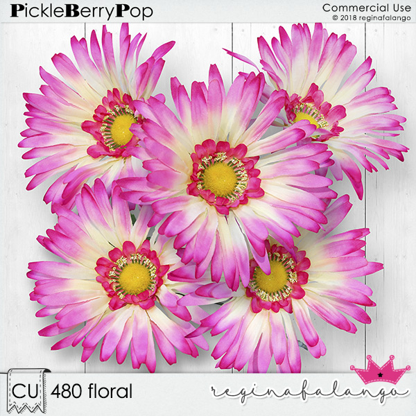 CU 480 FLORAL 