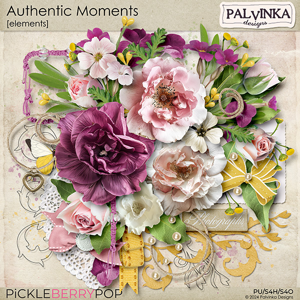 Authentic Moments Elements 