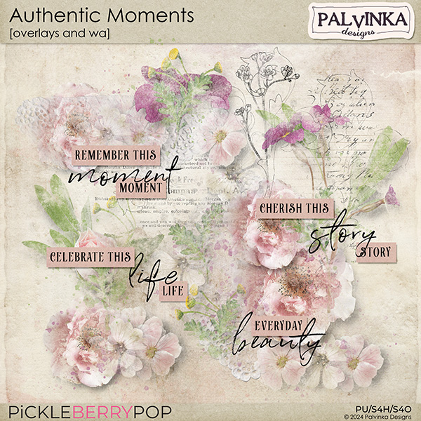 Authentic Moments Overlays and WA