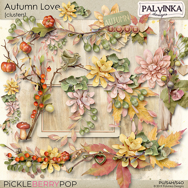 https://pickleberrypop.com/shop/Autumn-Love-Clusters.html