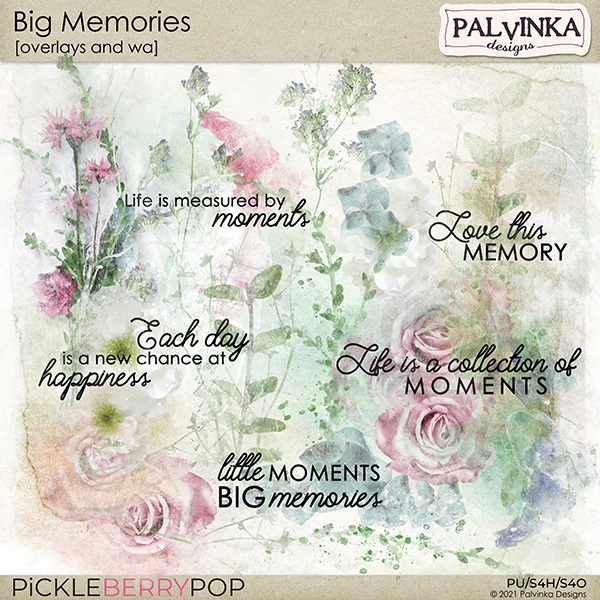 Big Memories Overlays and WA