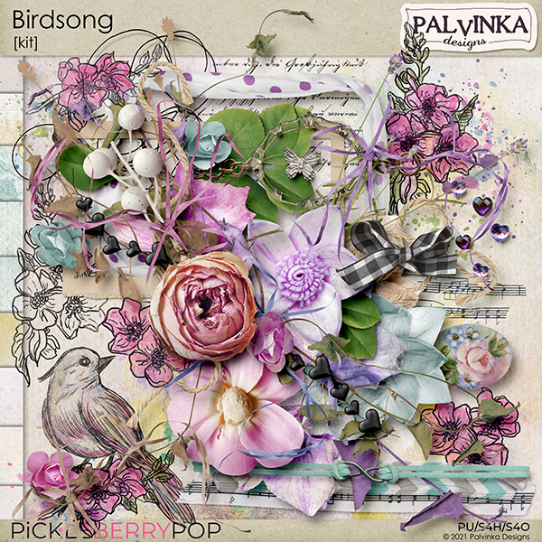 Birdsong Kit