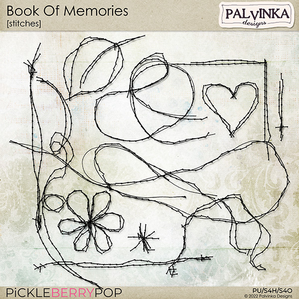 Book Of Memories Stitches