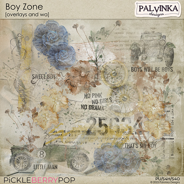 Boy Zone Overlays and WA