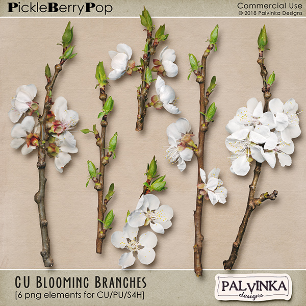 CU Blooming Branches