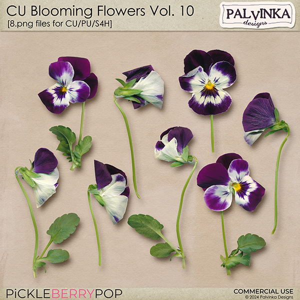 CU Blooming Flowers 10