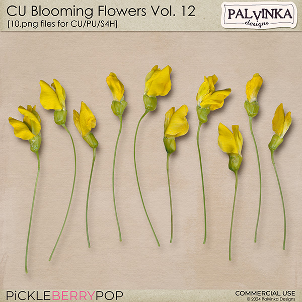 CU Blooming Flowers 12