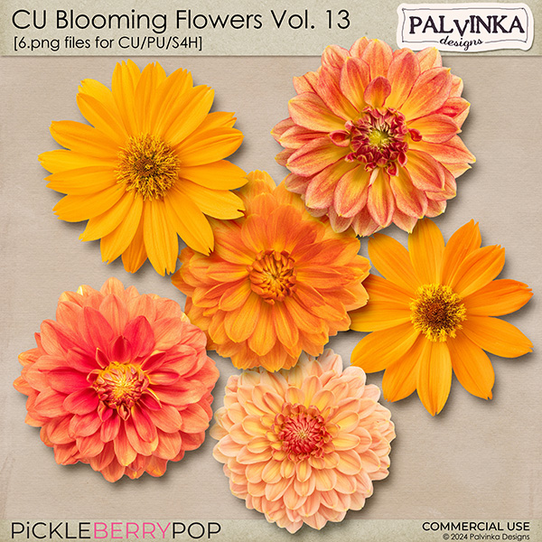 CU Blooming Flowers 13