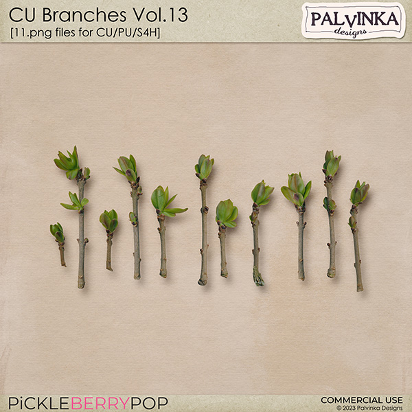 CU Branches 13