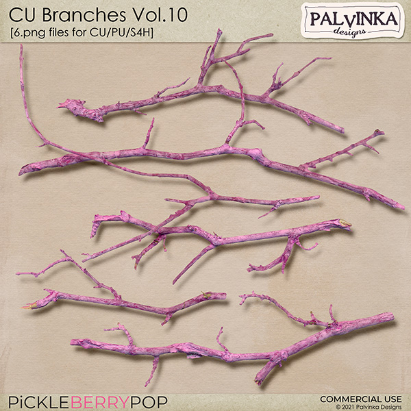 CU Branches Vol.10