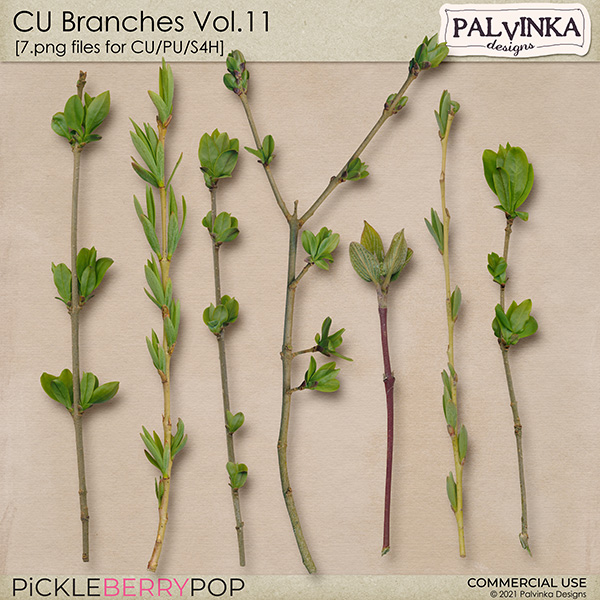 CU Branches Vol.11