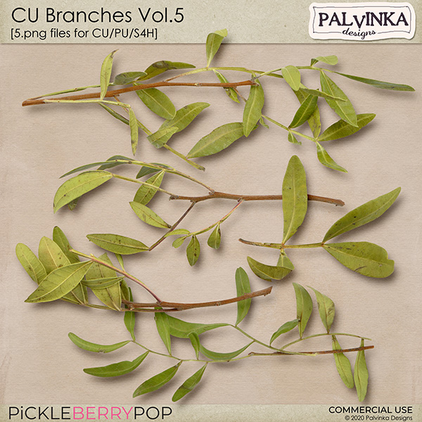 CU Branches Vol.5