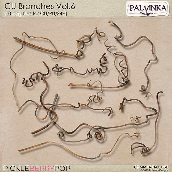 CU Branches Vol.6