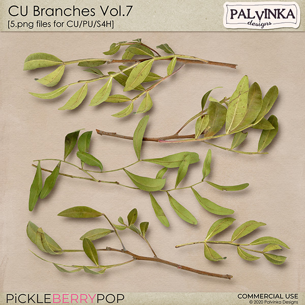 CU Branches Vol.7