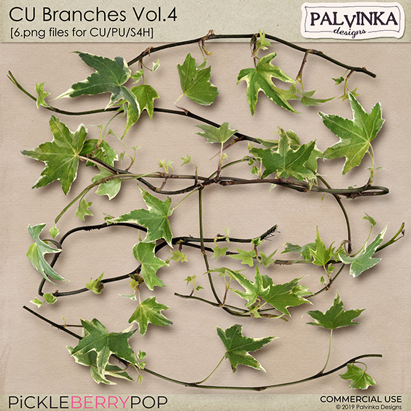 CU Branches Vol.4