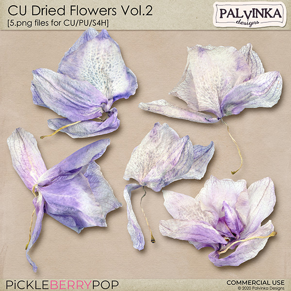 CU Dried Flowers Vol.2