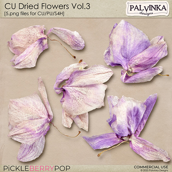 CU Dried Flowers Vol.3