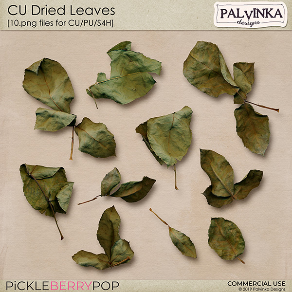 CU Dried Leaves