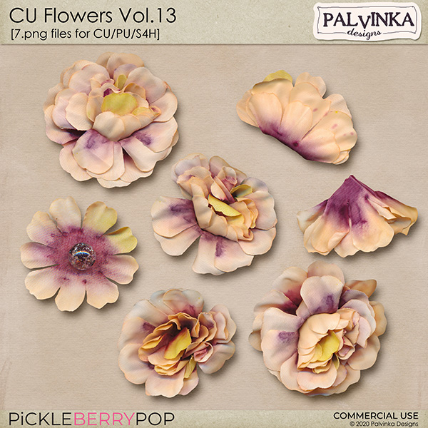 CU Flowers Vol.13 