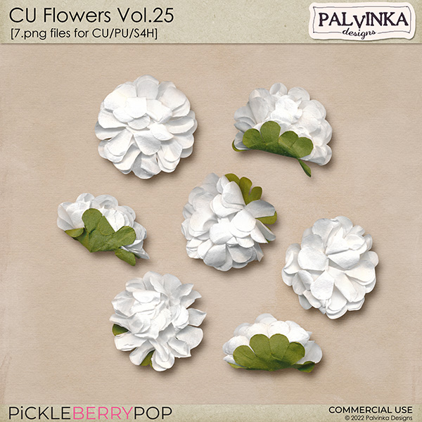 CU Flowers 25