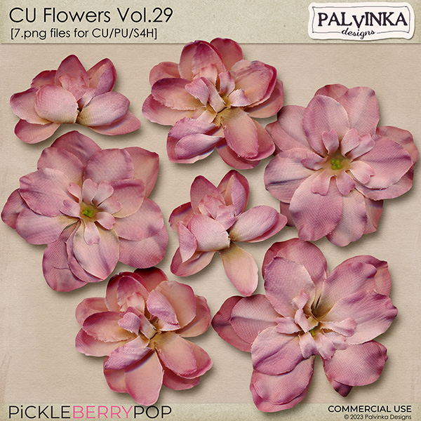 CU Flowers 29