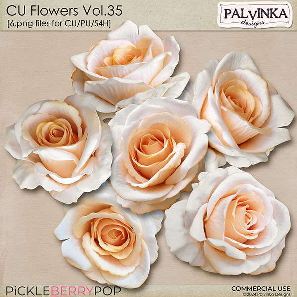 CU Flowers 35